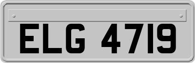 ELG4719
