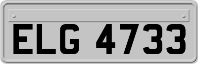 ELG4733