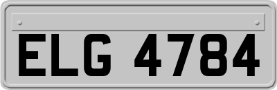 ELG4784