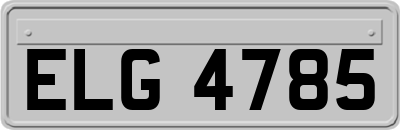 ELG4785