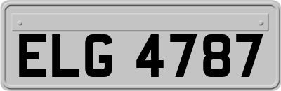 ELG4787