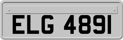 ELG4891