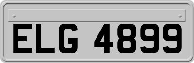 ELG4899