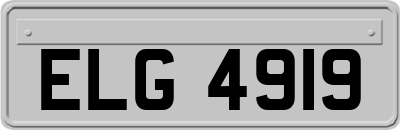 ELG4919
