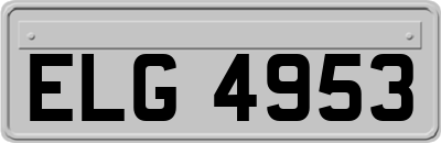 ELG4953