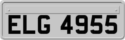 ELG4955