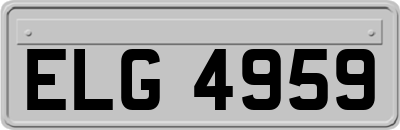 ELG4959