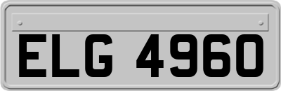 ELG4960
