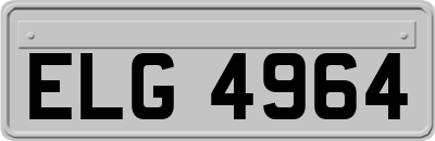 ELG4964