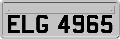 ELG4965