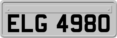 ELG4980