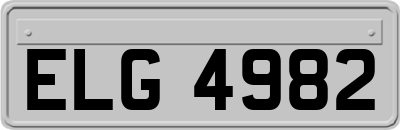 ELG4982
