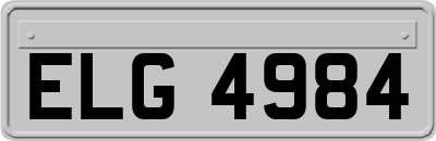 ELG4984