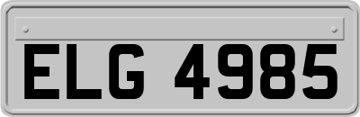 ELG4985