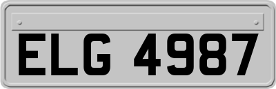 ELG4987