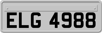 ELG4988