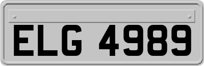 ELG4989