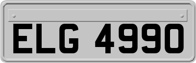 ELG4990