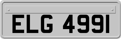 ELG4991