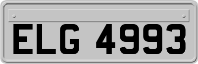 ELG4993