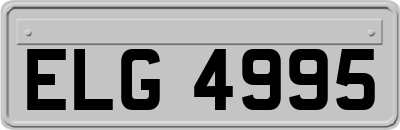 ELG4995