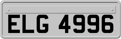 ELG4996