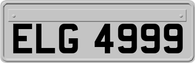 ELG4999
