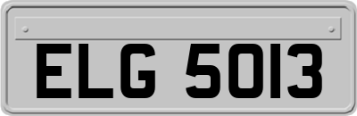 ELG5013