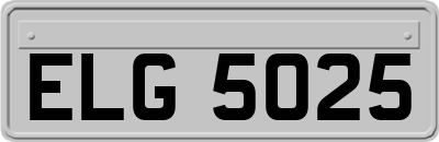 ELG5025