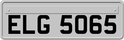 ELG5065