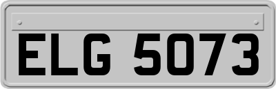 ELG5073