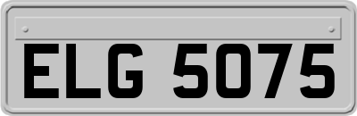 ELG5075