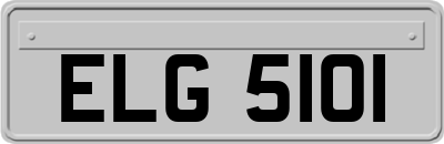 ELG5101