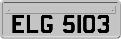 ELG5103