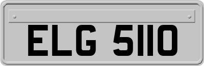 ELG5110