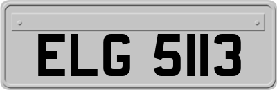 ELG5113