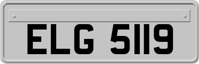 ELG5119