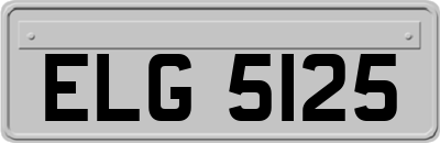ELG5125