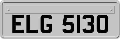 ELG5130