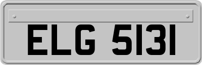 ELG5131