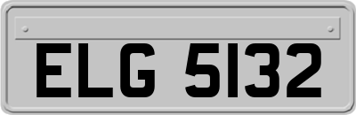 ELG5132