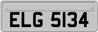 ELG5134