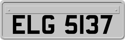 ELG5137