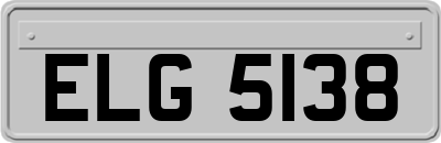 ELG5138