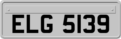 ELG5139