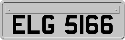 ELG5166