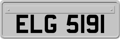 ELG5191