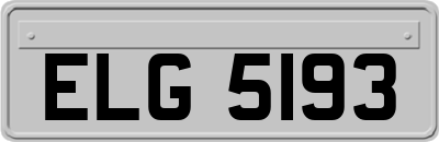 ELG5193