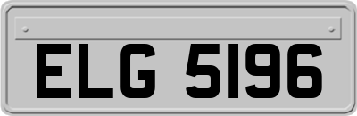 ELG5196