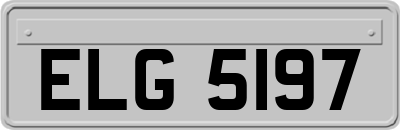 ELG5197